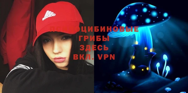 дурь Волоколамск